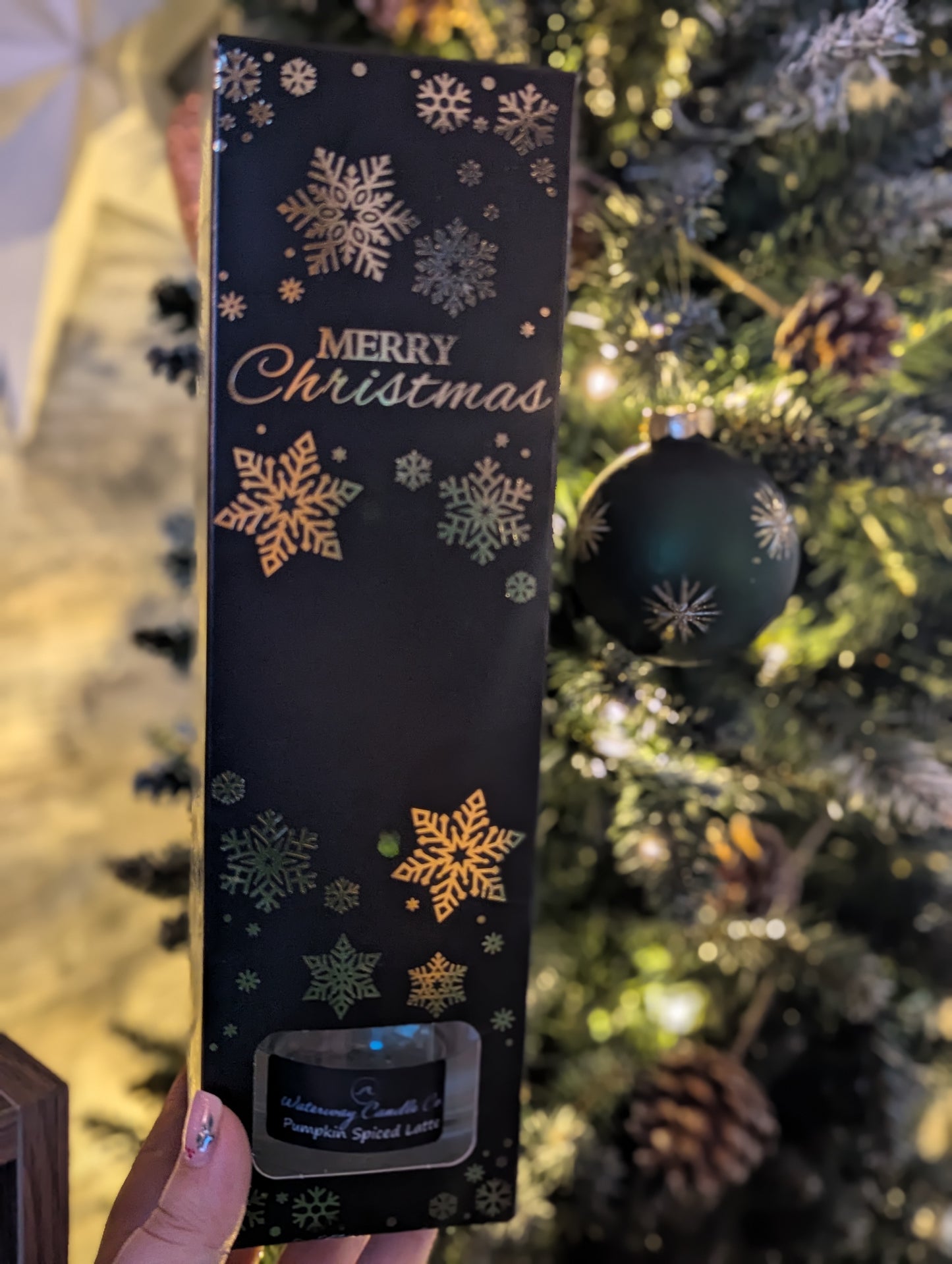 Christmas Gift Boxed 100ml Reed Diffuser